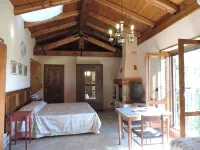 Isolated on hill, flat with terrace,garden among romanesque art,quiet,nature - Wifi