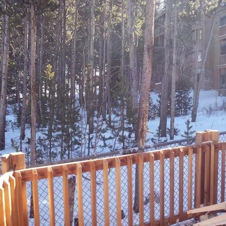 Cabin in Breckenridge  - Walk to Main Street & Peak 9 Lifts
