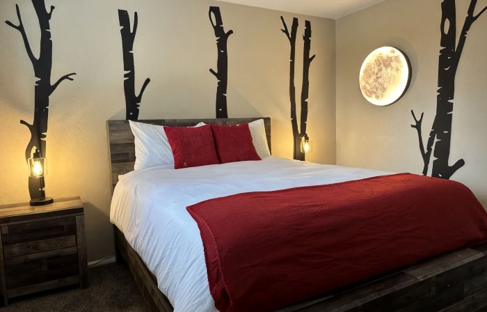 Newly Renovated ski themed home with brand new  furniture