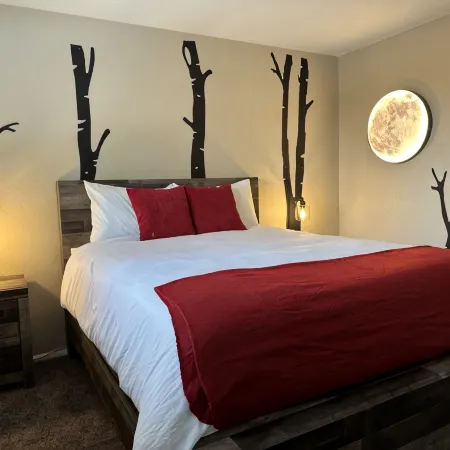 Newly Renovated ski themed home with brand new furniture