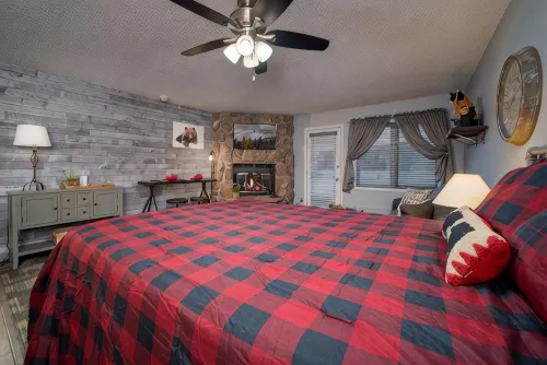 New and Cozy! - Wi-Fi
