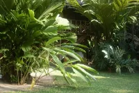 Hotel Salvador Gaviota - Pet friendly