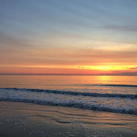 200 Steps Bed to Beach Oceanfront Luxury 6 Guests. Premier Property and Host