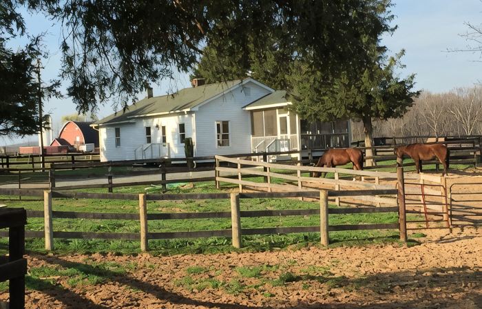 Elegant Cottage on 600 Acre Horse & Livestock Farm