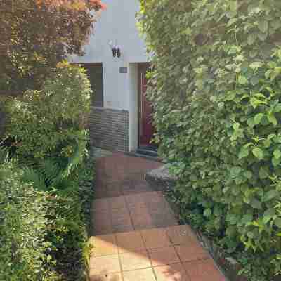 Cozy vacation apartment in the wine village of Trier Olewig Hotel Exterior