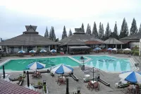 Hotel Sibayak Internasional - Pools