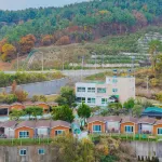 Shindaeyang Pension - Pansiyon