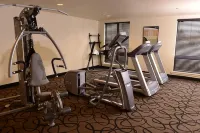 埃爾科萊德斯通套房酒店 - 健身室/gym room