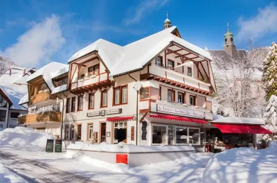 Hotel DasZimmermann Hotels in Gersbach