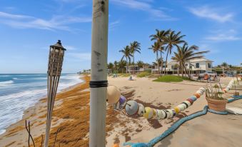 The Shell on Walnut Studio Hollywood Beach Free Parking