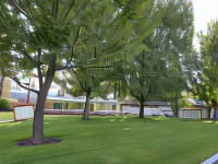 Shasta Pines Motel & Suites