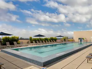 Top 3 Premium Hotels in Bexar County