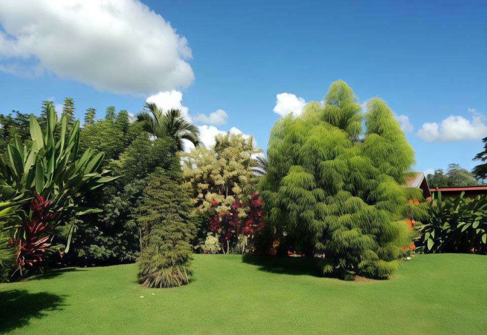 Hotel Tangara Arenal - Housity