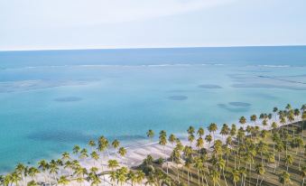 1. Maceió M..