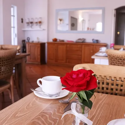 Paradiso Guesthouse & Self-Catering Cottage Hotels near Norval Foundation