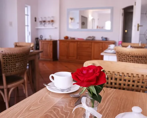 Paradiso Guesthouse & Self-Catering Cottage Отели рядом с достопримечательностью «Музей Фонда семьи Норваль»