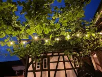 Wanderers Neubau Hotels in Landau