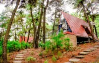 Cat Ba Eco Lodge Resort
