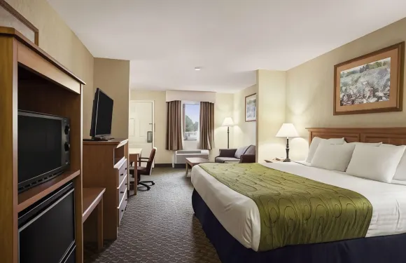 斯圖加特温德姆戴斯套房酒店