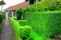 Lushoto Executive Lodge Các khách sạn ở 