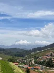 Rastafari - the Backpackers Hostel