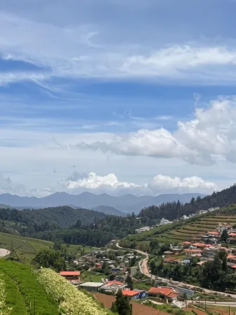 Rastafari - the Backpackers Hostel