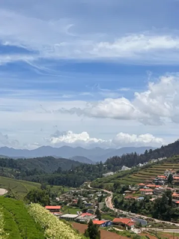 Rastafari - the Backpackers Hostel