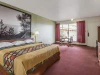 Super 8 by Wyndham Wells Hotels in Elko County