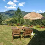 Hongcheon Tree Field