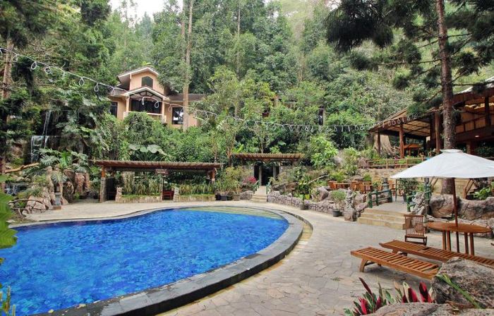 Safari Resort