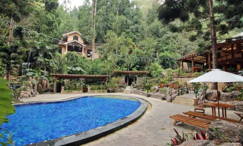 Safari Resort
