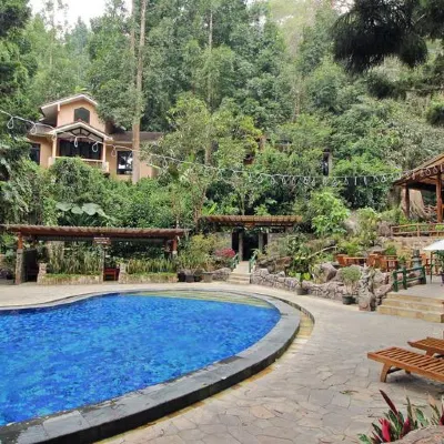 Safari Resort Hotels near Dairyland Mountain View