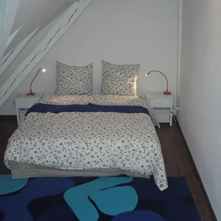 TOURIST RENTAL HISTORIC CENTER COLMAR