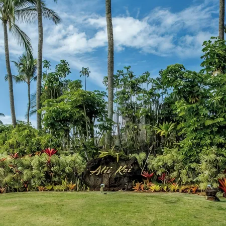 Amazing Oceanview New Delux Home with A/C