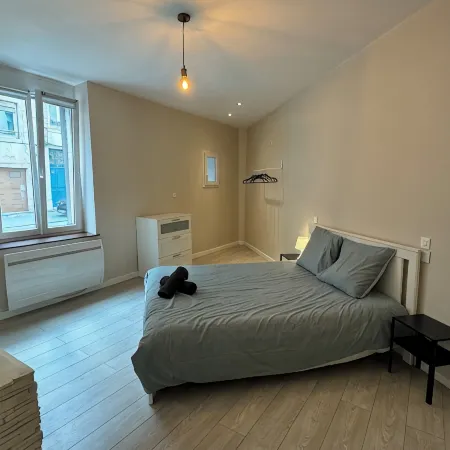Charmant appartement Nancy centre