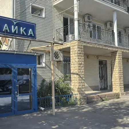 Чайка