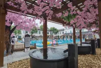 Yihaoquan Piaofu Hot Spring Hotel - Pool