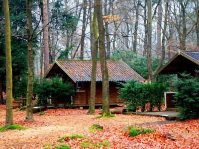 Stayokay Hostel Apeldoorn - Fully Renovated March 2026