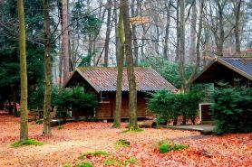 Stayokay Hostel Apeldoorn - Fully Renovated March 2026