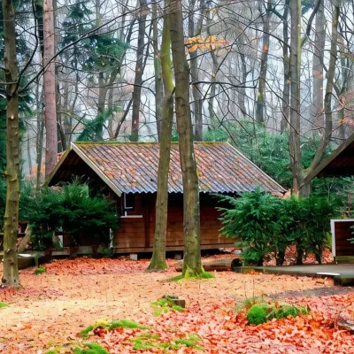Stayokay Hostel Apeldoorn - Fully Renovated March 2026 Hotels near Paleis Het Loo