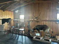 Zeke’s Retreat – Hunter’s Getaway with On-Site Taxidermy Shop - Homestays