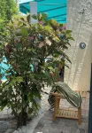 Luxe Hideaway with Pool & Garden - ห้องครัว