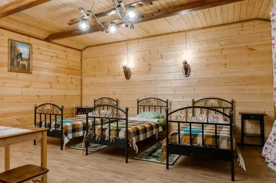 New-Vetluga Park Recreation Camp Hotels in 