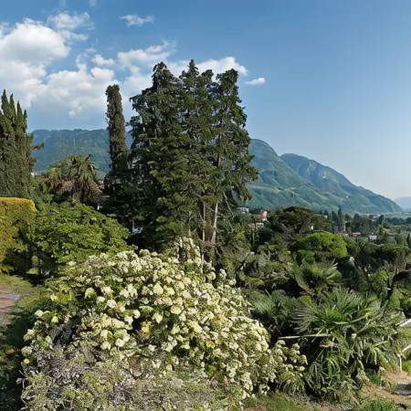APARTMENTS IN Dorf Tirol - SÜDTIROL
