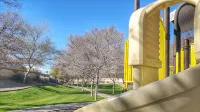 Urban Living in Glendale AZ, 4 Miles from Westgate! - 4-Star