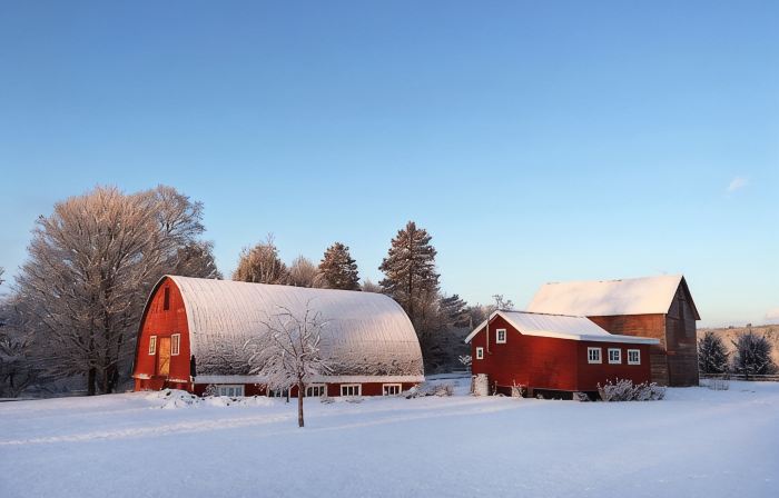 A Cozy Farmstead Cottage Amidst Two Barns in Hudson Valley