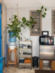 Savasana Surfer's Retreat - Homestays