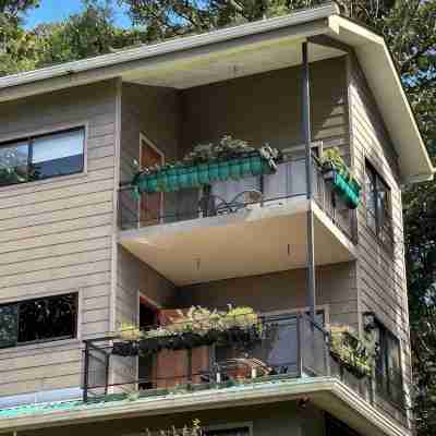 Wake up with Birds in Monteverde - Forest Balcony & Walk to Reserves Hotel Exterior