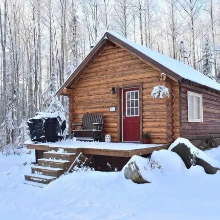 Comfy Cabin Nestled in the Woods