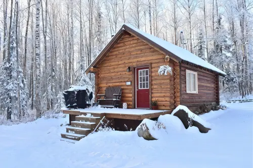 Comfy Cabin Nestled in the Woods - Alppimaja